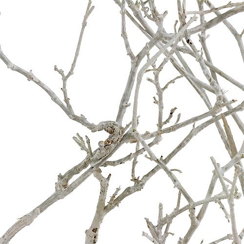 kohteita Dry Tree White pesty 500g