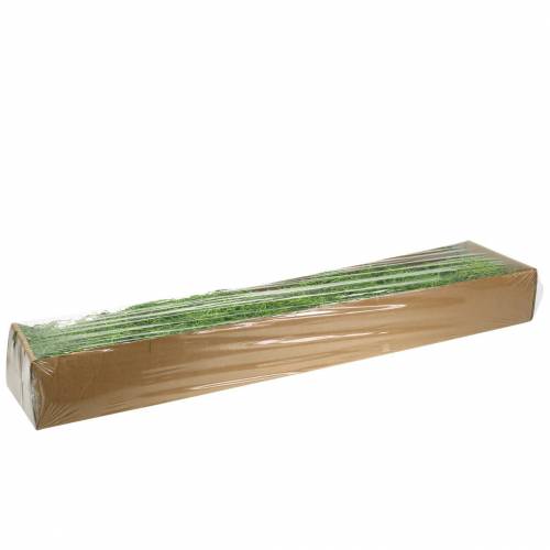 Floristik24 Viidakon sammalvihreä 250g