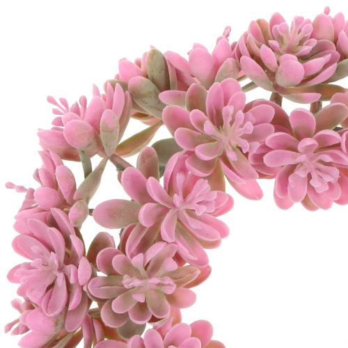 Floristik24 Echeveria-seppele vaaleanpunainen Ø18cm 4kpl