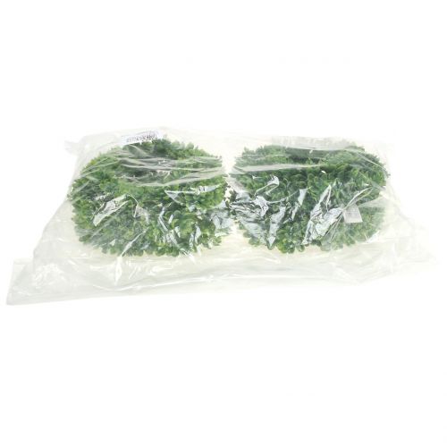 Floristik24 Echeveria seppele vihreä Ø18cm 4kpl