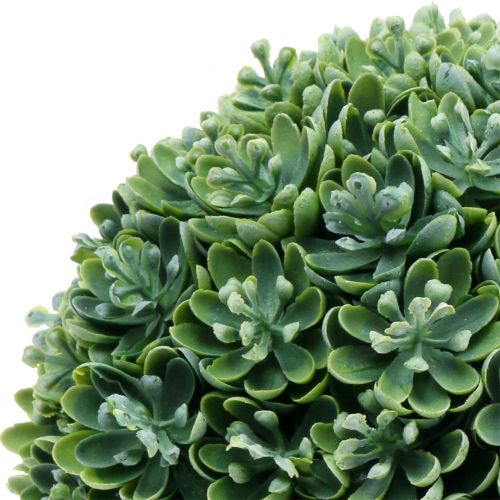 Echeveria pallo keinotekoinen vihreä Ø18cm