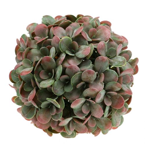 Floristik24 Echeveria pallo keinotekoinen vihreä, punainen Ø22cm