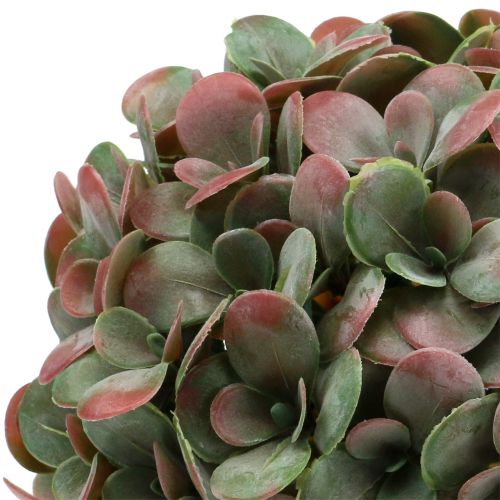 Floristik24 Echeveria pallo keinotekoinen vihreä, punainen Ø22cm