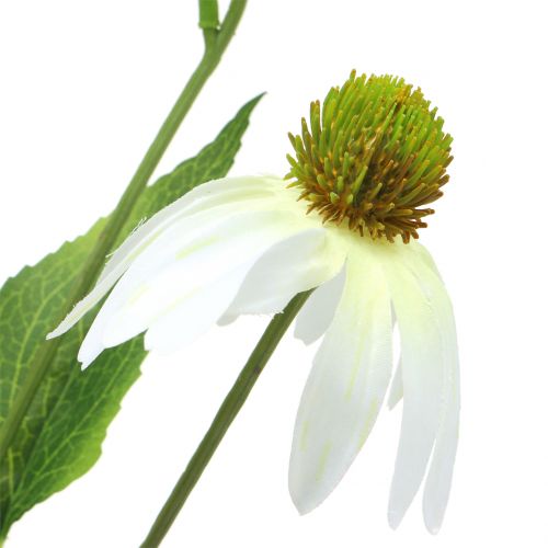 kohteita Echinacea-kukka keinotekoinen valkoinen 90cm