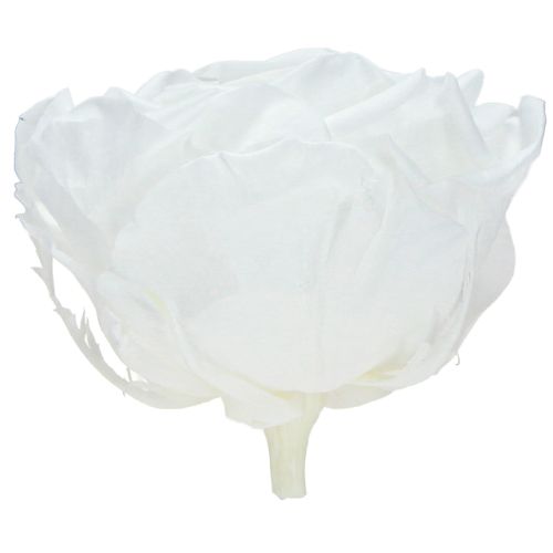 kohteita Aitoja ruusunpäitä Infinity Roses White Premium Ø8.5cm 4 kpl