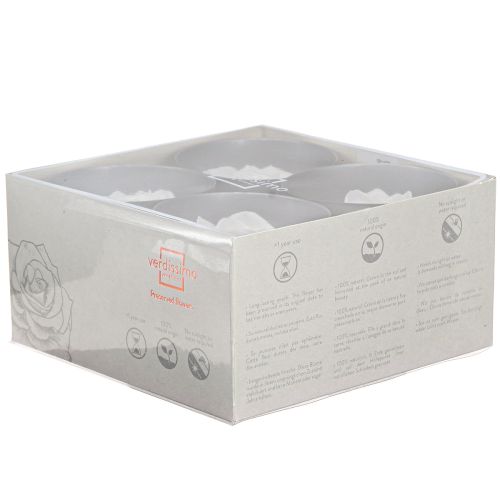 kohteita Aitoja ruusunpäitä Infinity Roses White Premium Ø8.5cm 4 kpl