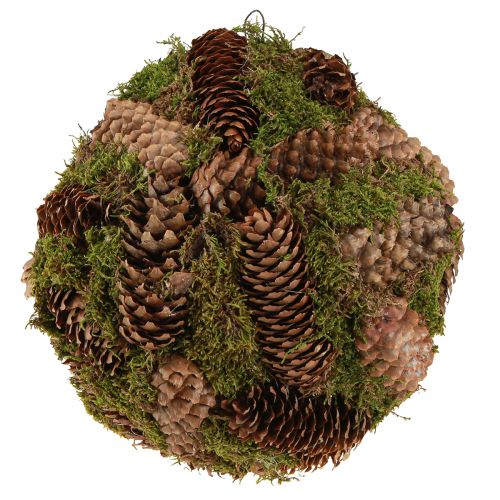 kohteita Aidot kartiokoristelupallo sammaleen luonnollisilla koristeilla Ø25cm H25cm