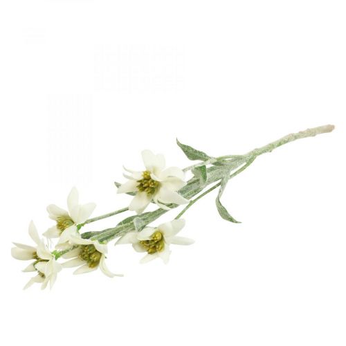 Floristik24 Edelweissin tekokukka valkoinen parvi 38cm