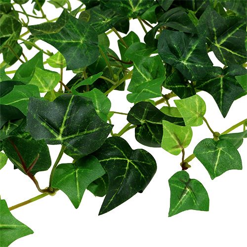 kohteita Ivy-lanka vihreä 70cm