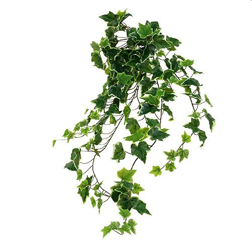 Ivy ripustin 80cm valko-vihreä