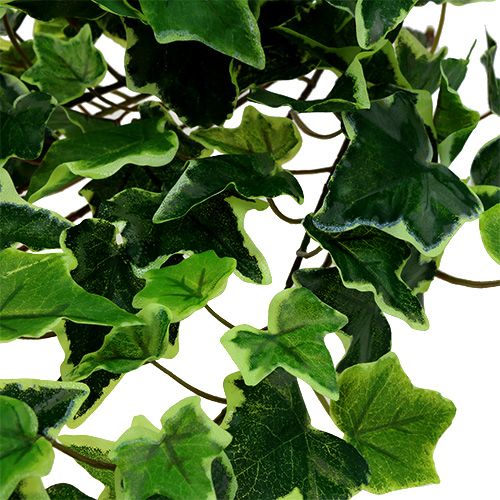 kohteita Ivy ripustin valko-vihreä 70cm