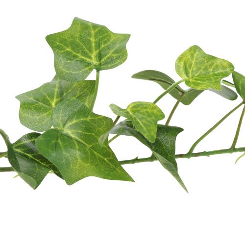 Ivy tekovihreä 90cm