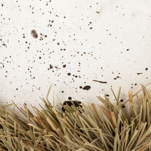 kohteita Pääsiäispesäkulho munan muotoisena kevään koristeeksi 11 cm 4 kpl