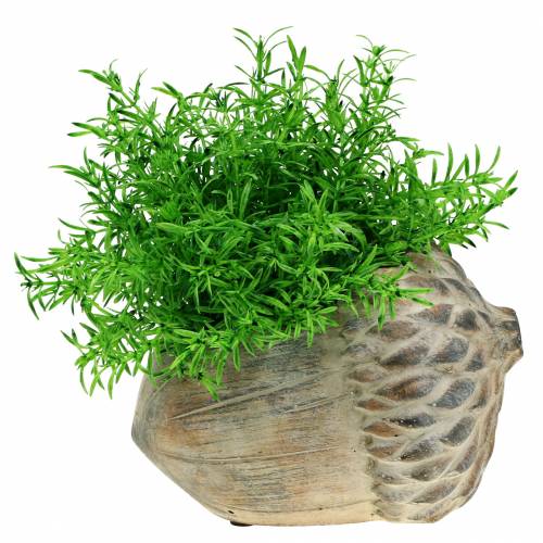 Floristik24 Säilytysastia Betoninen Tammenterho 21,5cm × 14cm K9,5cm