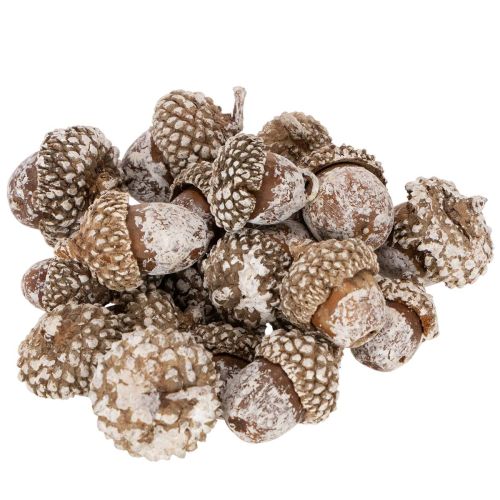 Tammenterhot, luonnontuote koristeeksi, kalkittu, 1-3 cm, 300 g
