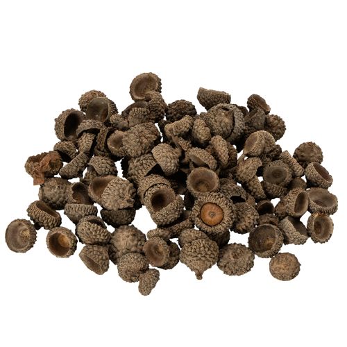 Luonnonväriset tammenterhojen hatut, koristeelliset kulhot syksyyn ja adventtiin, 2 cm, 300 g ostaa | Floristik24.fi