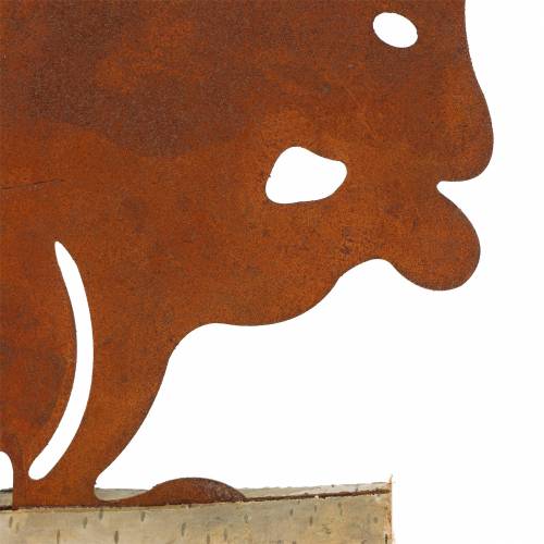 Floristik24 Orava Ruoste puupohjalla 19cm x 25cm