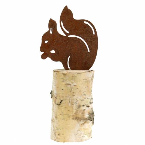 Floristik24 Oravapatina rungossa K22cm