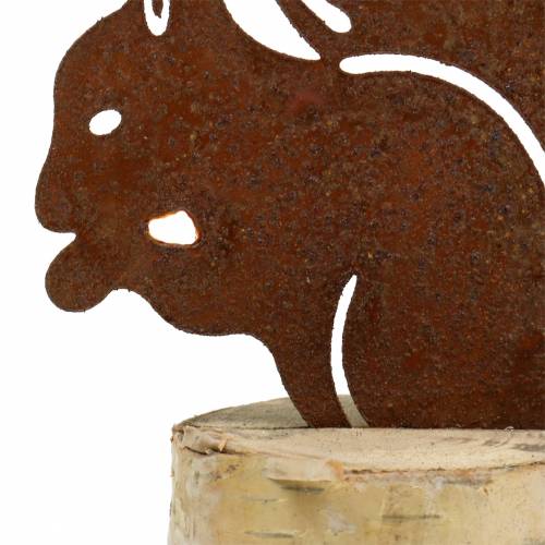 Floristik24 Oravapatina rungossa K22cm