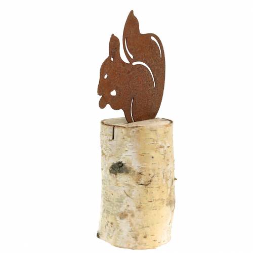 Floristik24 Oravapatina rungossa K22cm