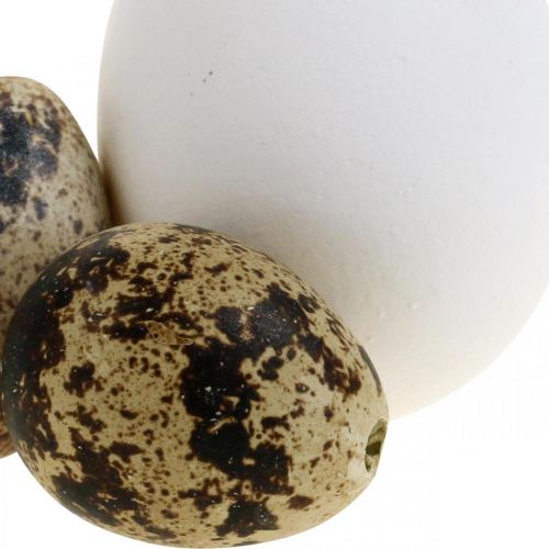 Floristik24 Koristemunasekoitus viiriäisen munia &amp; kananmunia Puhalletut pääsiäismunat