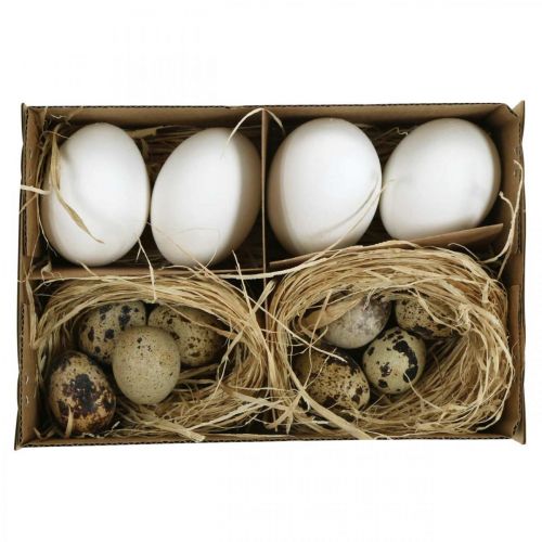 Floristik24 Koristemunasekoitus viiriäisen munia &amp; kananmunia Puhalletut pääsiäismunat