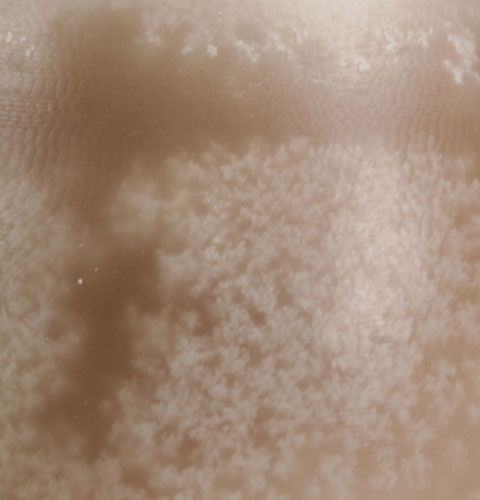 Floristik24 Koristeellinen munakynttilä Sahara 14cm