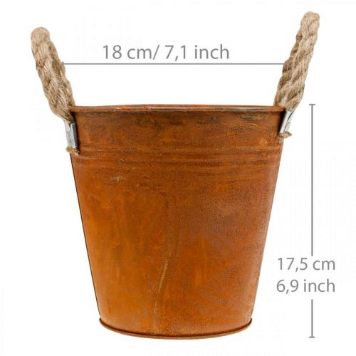 Kasviruukku ruostumattomasta teräksestä, metalliruukku, syyskoriste Ø18cm K17,5cm