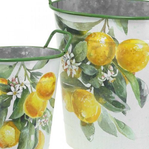 Floristik24 Välimerellinen peltiamme, istutuslautanen sitruunakuviolla valkoinen, vihreä, keltainen K43,5/34cm L36,5/27,5cm 2 kpl setti