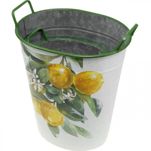 Floristik24 Välimerellinen peltiamme, istutuslautanen sitruunakuviolla valkoinen, vihreä, keltainen K43,5/34cm L36,5/27,5cm 2 kpl setti