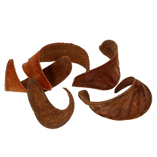 Elephant Ear nature 25kpl