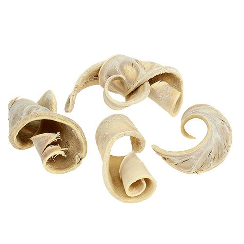 Elephant Ear valkaistu 25kpl