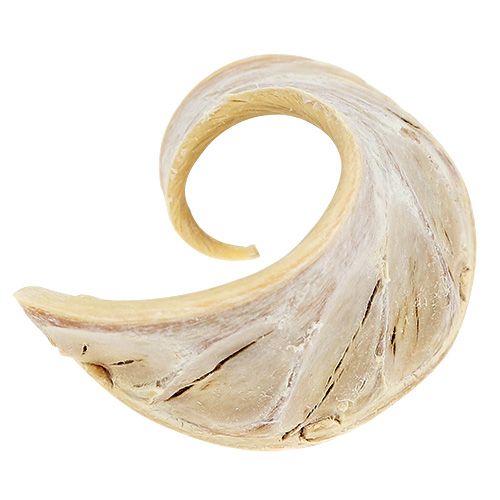 Elephant Ear valkaistu 25kpl