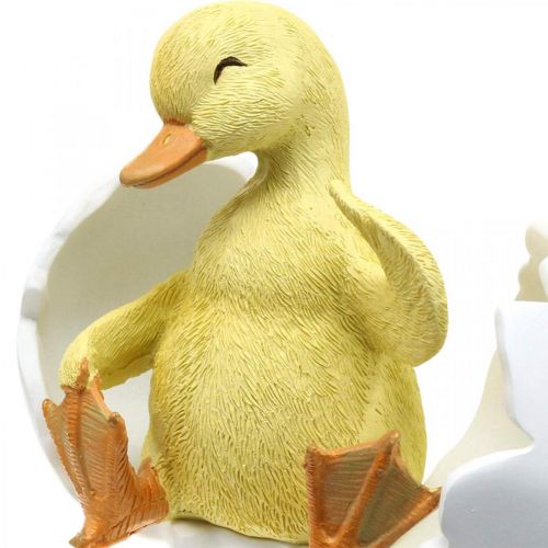 Floristik24 Kuoriutunut poikanen, ankkafiguuri, ankanpoikanen munassa K10cm L12,5cm