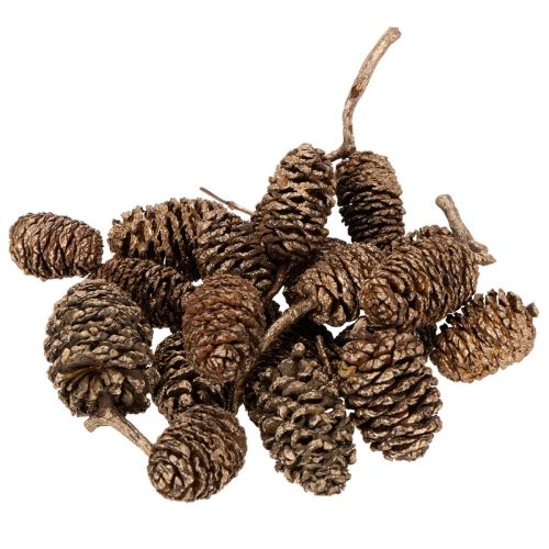 Leppäkävyt, luonnontuote koristeluun ja askarteluun, kultaa, 3 cm, 300 g