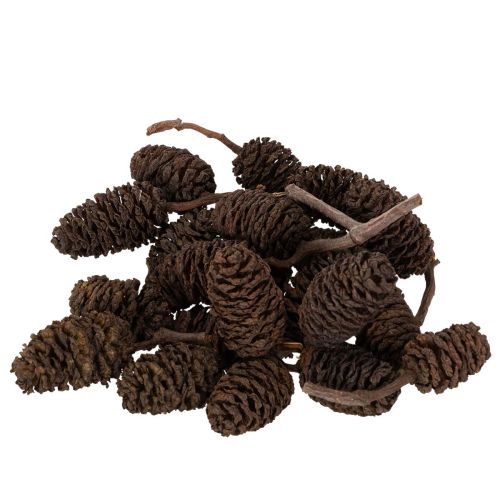 Luonnonvärisiä leppäkävyjä, irtonaisia, koristeeksi, 3 cm, 300 g, luonnonruskea.