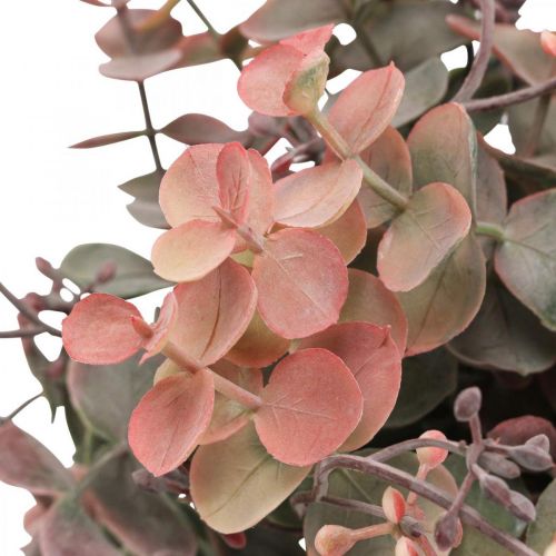 Floristik24 Eukalyptuspensas Keinotekoinen Eukalyptus Punainen Vihreä 25cm 3kpl