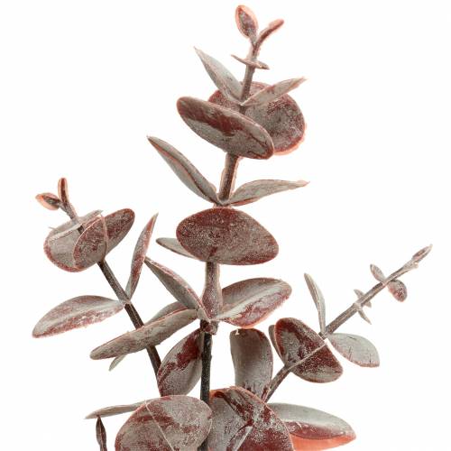 kohteita Eukalyptus keinotekoinen Burgundy 32cm Keinotekoinen kasvi kuin todellinen!