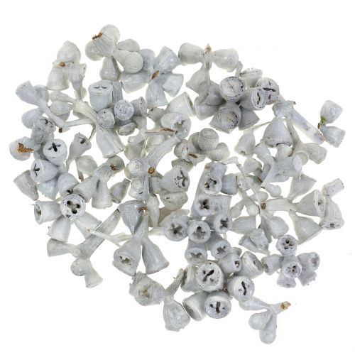 Floristik24 Eukalyptushedelmät vahattu valkoinen 250g