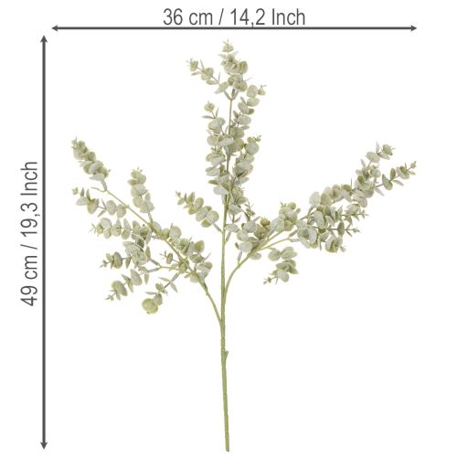Keinotekoinen eukalyptusoksa, koristeellinen oksa maljakoihin ja kimppuihin, 49 cm, 4 kpl | Floristik24.fi