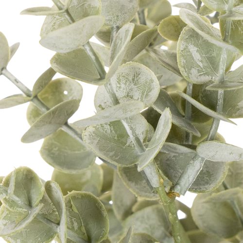 Keinotekoinen eukalyptusoksa, koristeellinen oksa maljakoihin ja kimppuihin, 49 cm, 4 kpl | Floristik24.fi