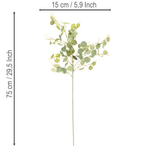 Keinotekoinen eukalyptusoksa pyöreillä lehdillä, 75 cm, 4 kpl | Floristik24.fi