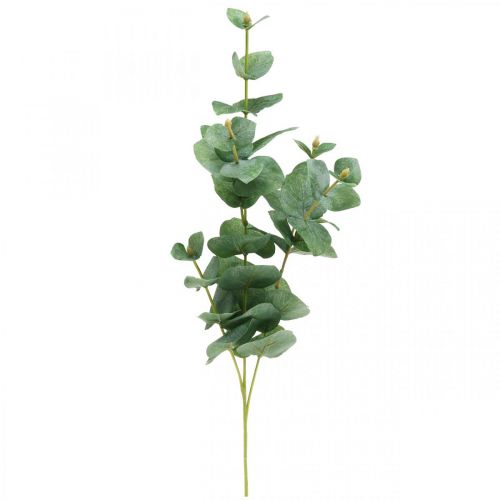 Floristik24 Eucalyptus Branch Keinotekoinen vihreä kasvi Eucalyptus Deco 75cm