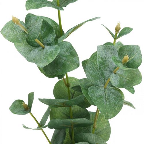 Floristik24 Eucalyptus Branch Keinotekoinen vihreä kasvi Eucalyptus Deco 75cm