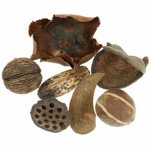 Floristik24 Eksoottisten alueiden luonne verkossa 200g