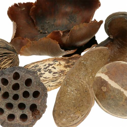 Floristik24 Eksoottisten alueiden luonne verkossa 200g