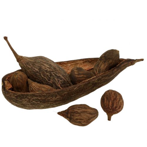 Floristik24 Baobab-hedelmäsekoitus kuorineen 300g