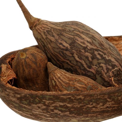 Floristik24 Baobab-hedelmäsekoitus kuorineen 300g