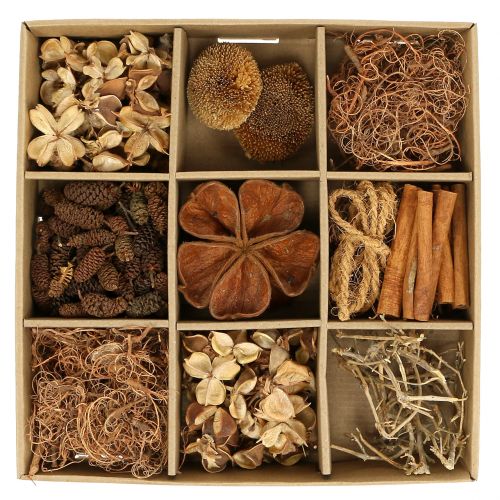 Floristik24 Eksoottinen sekoitus luonto