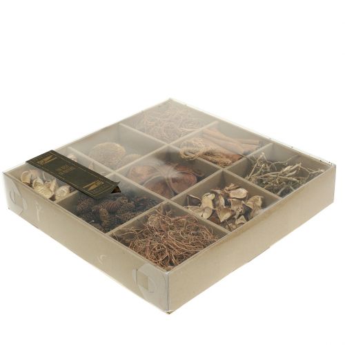 Floristik24 Eksoottinen sekoitus luonto